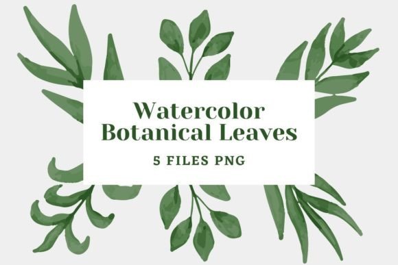 Download Botanical Watercolor Pack 23 - Botanical watercolor Collection