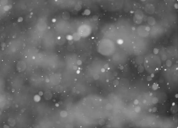 Download Snowflakes Overlay Real Snow Texture - Snowflakes Collection