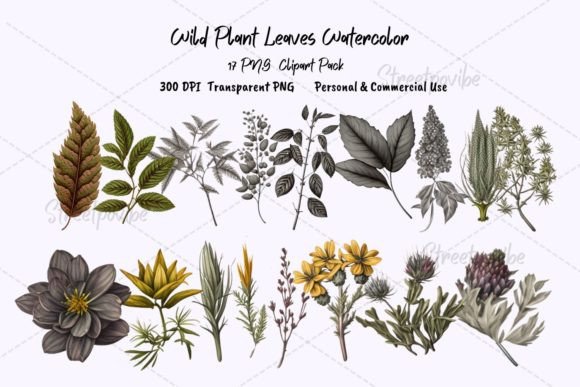 Download Wild Botanical Watercolor Clipart PNG - Botanical watercolor Collection