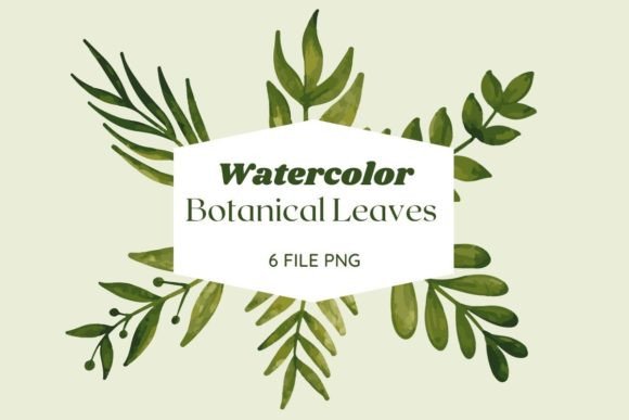 Download Botanical Watercolor Leaves Pack 17 - Botanical watercolor Collection
